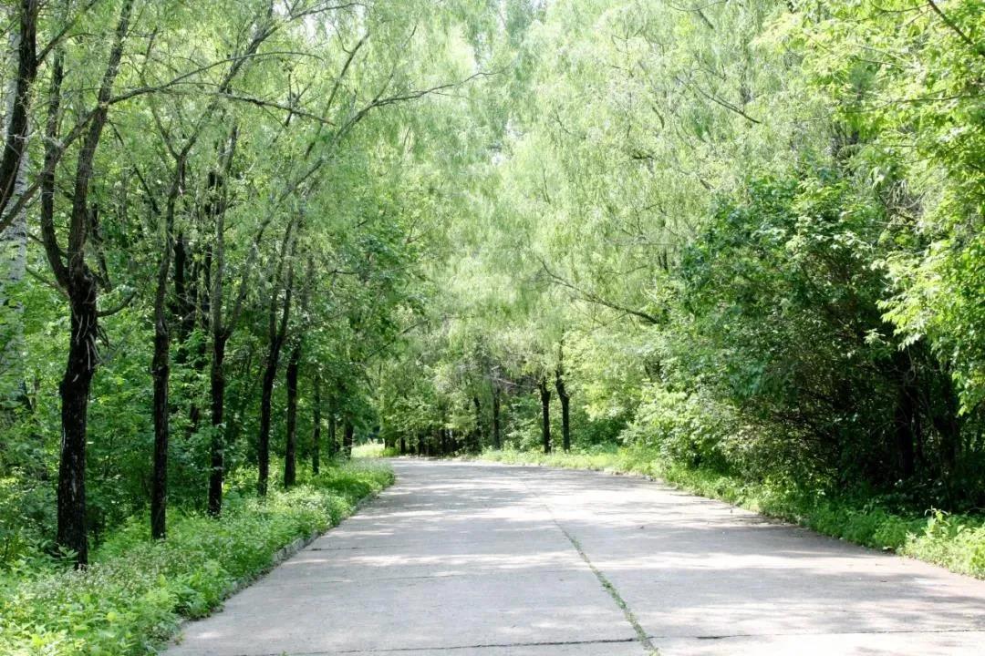 3118云顶集团·(中国)股份有限公司