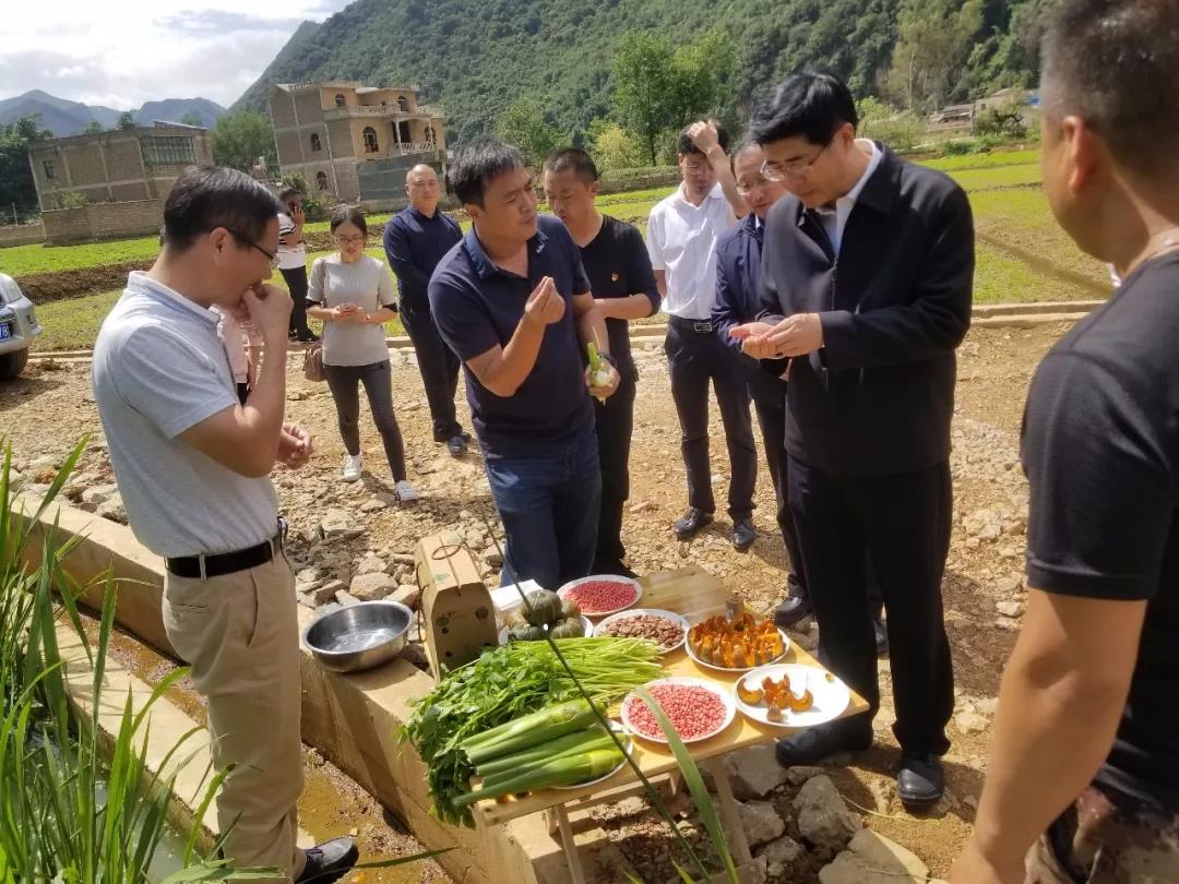 3118云顶集团·(中国)股份有限公司
