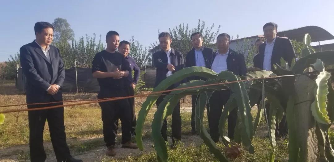 3118云顶集团·(中国)股份有限公司